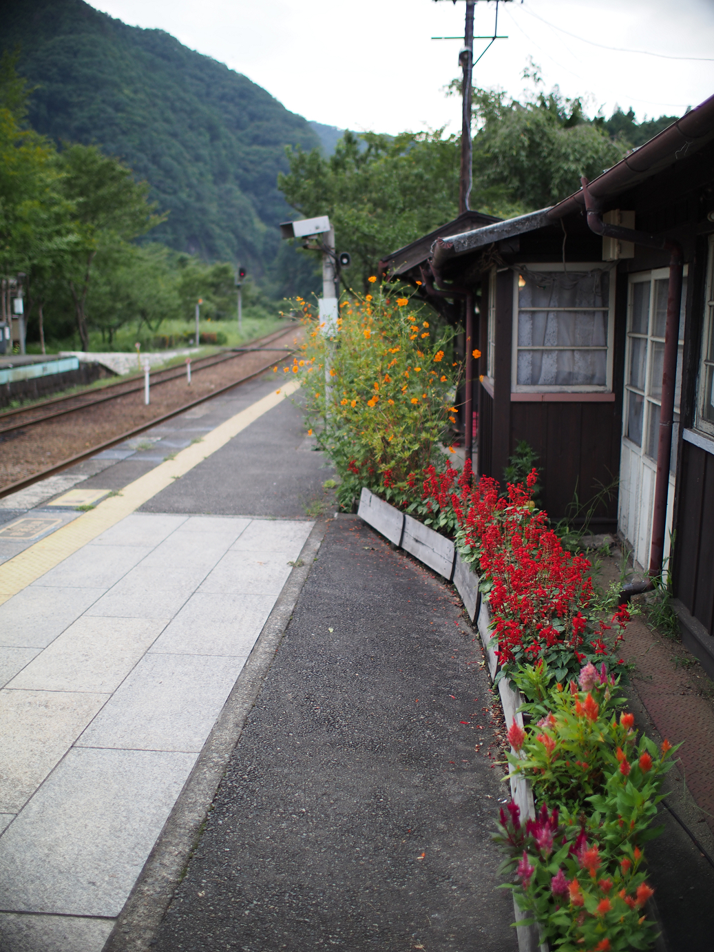 P91200315.jpg