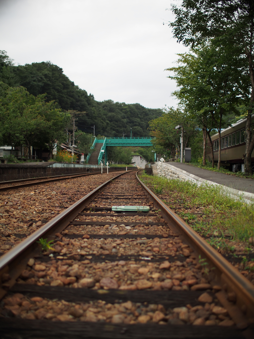 P91200319.jpg