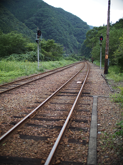 P91200323_thumb.png