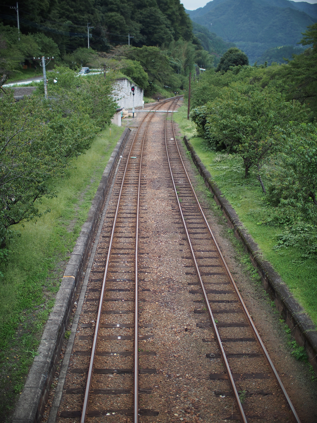 P91200353.jpg