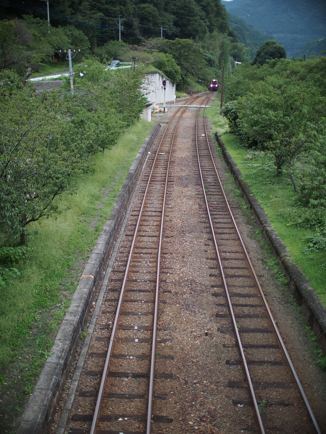 P91200355.jpg