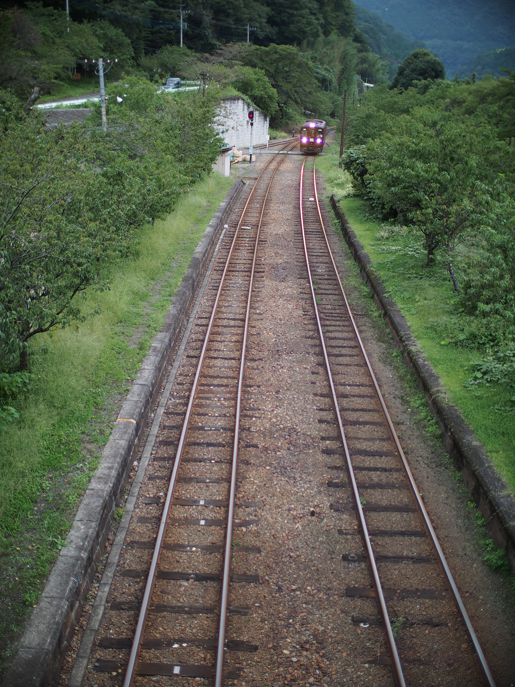 P91200356.jpg