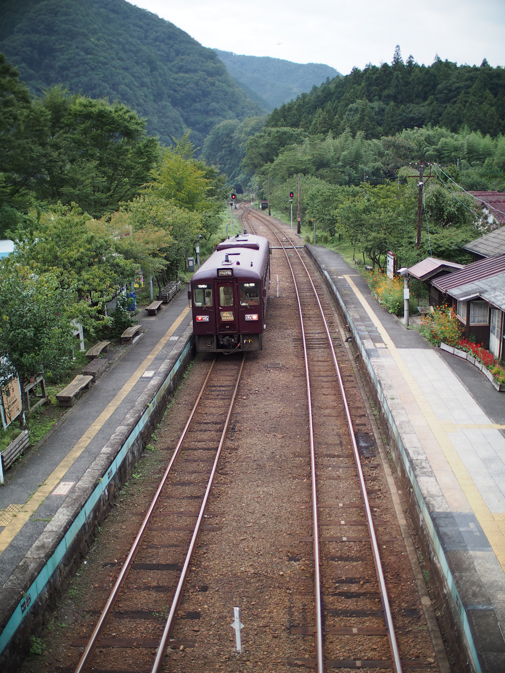 P91200359.jpg