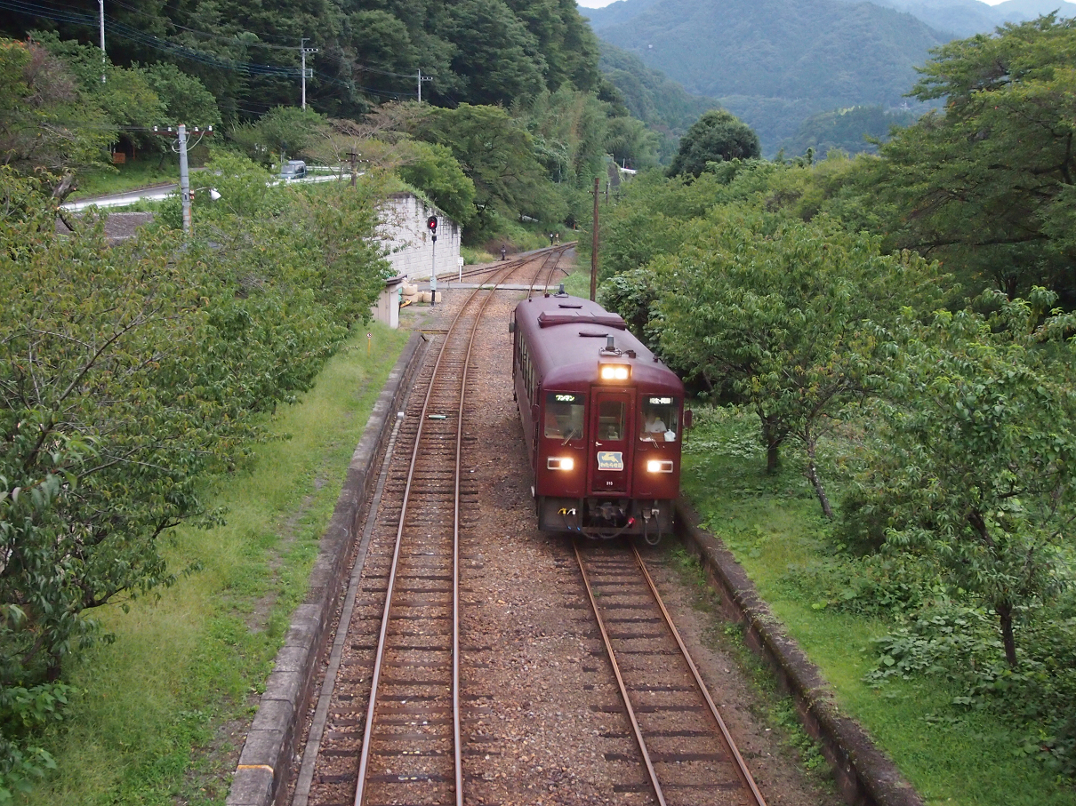 P91200361.jpg