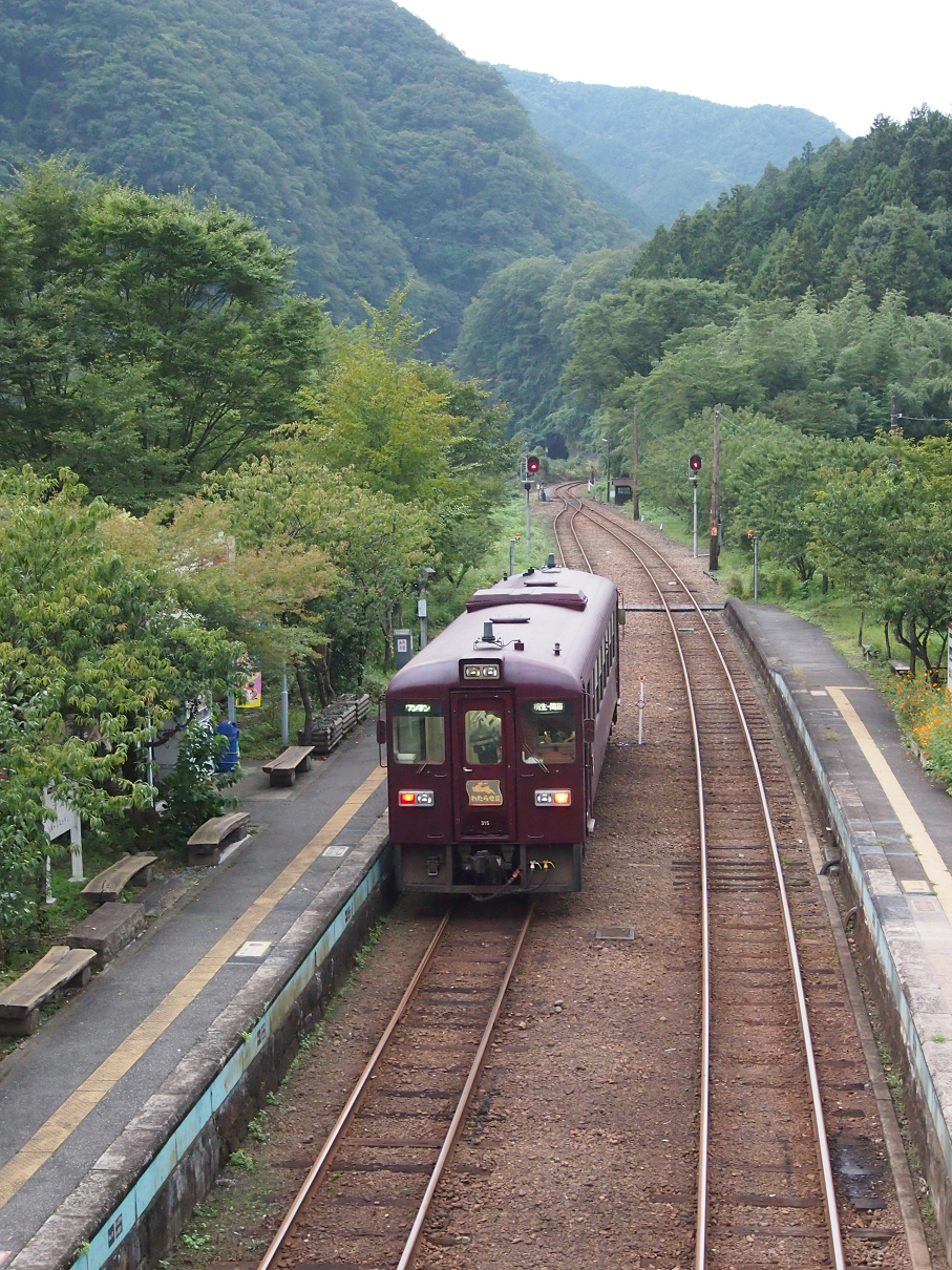 P91200363.jpg