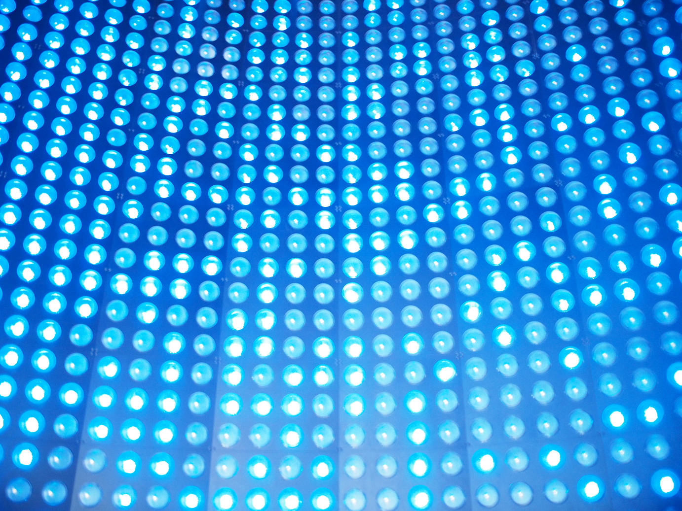 P9140311.jpg