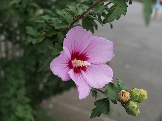 P9140354_thumb.png