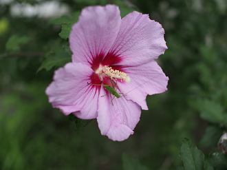 P9140362_thumb.png