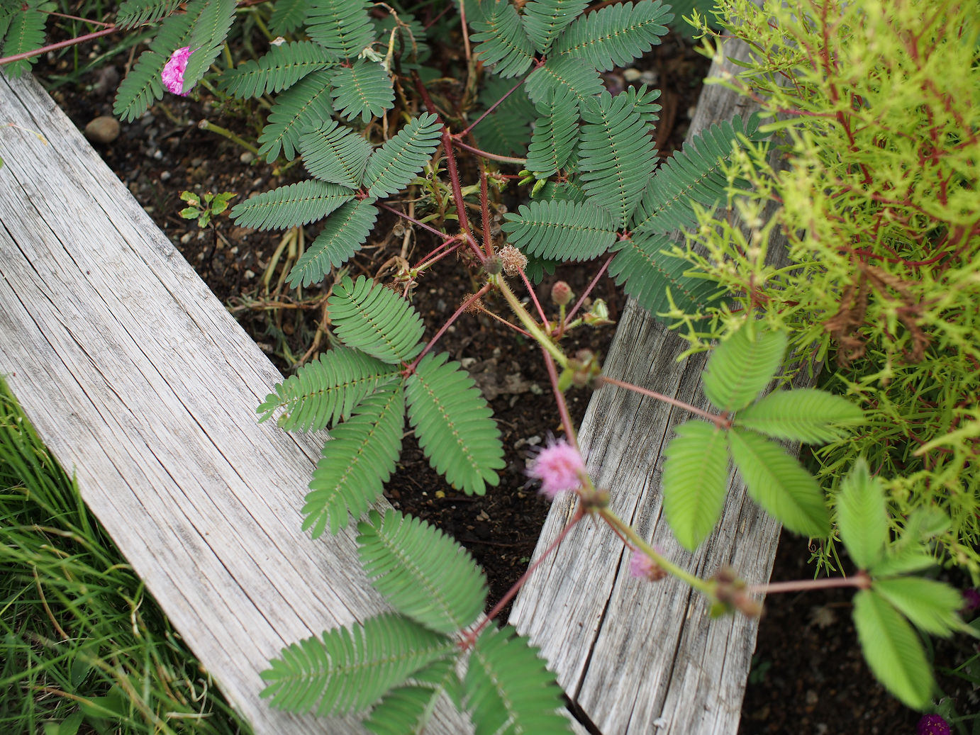 P9140416.jpg
