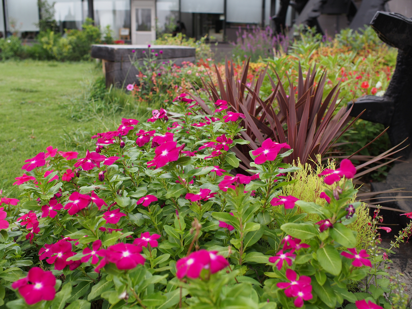P9140417.jpg
