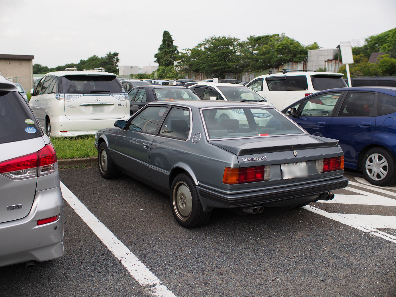 P9140482.jpg