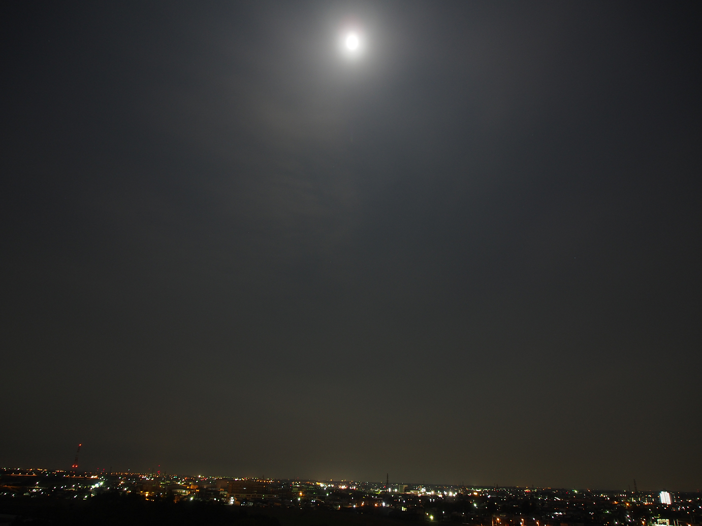 P9190515.jpg