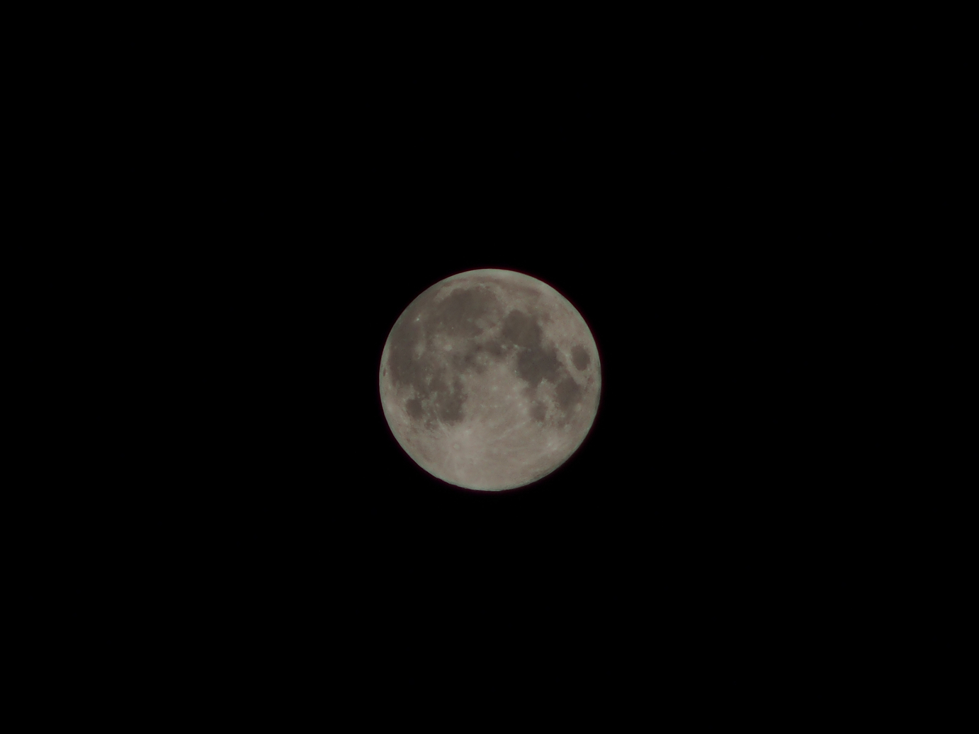 P9190536.jpg