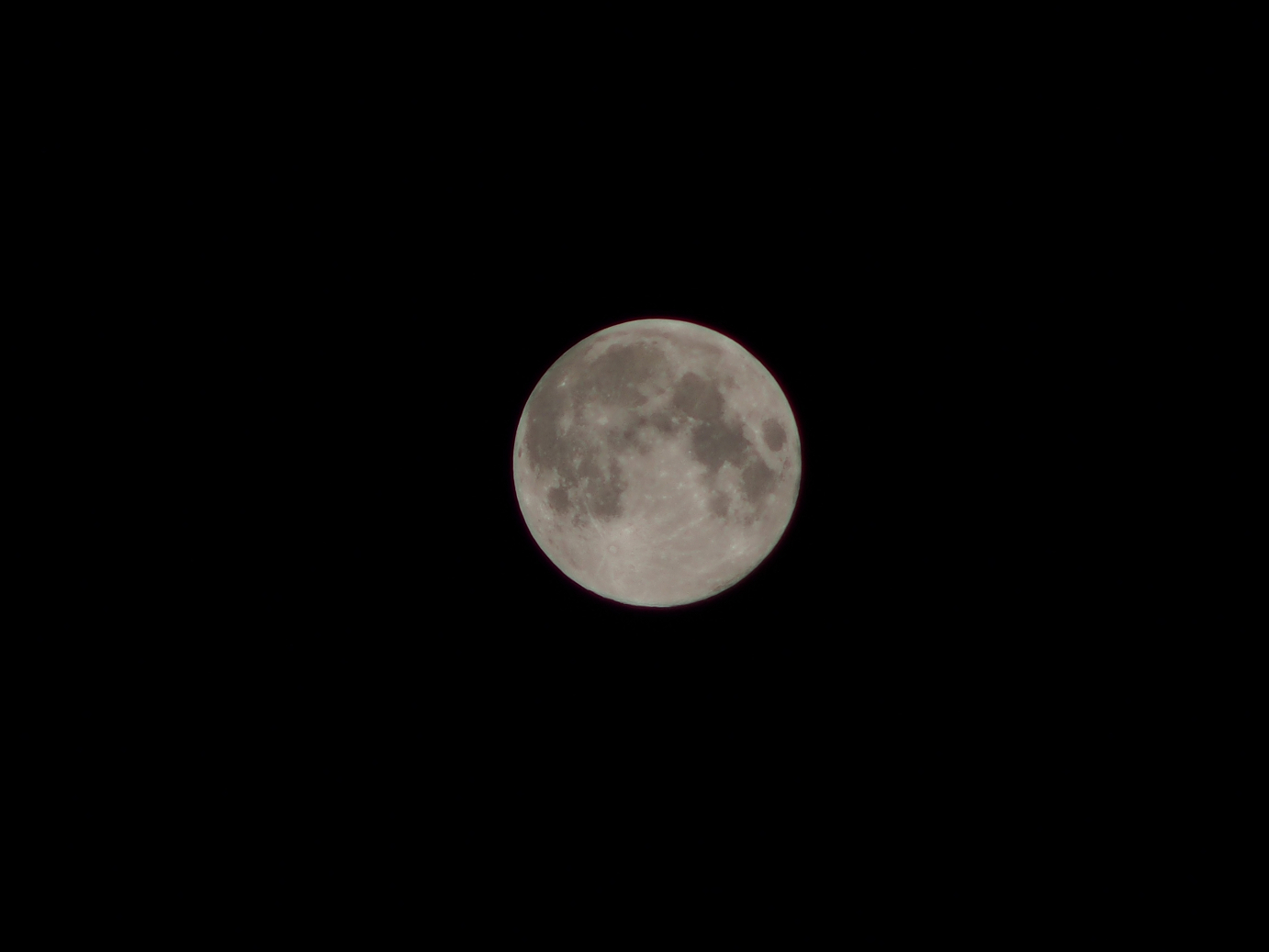 P9190541.jpg