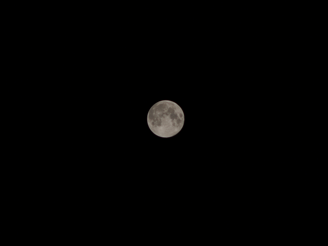 P9190542.jpg