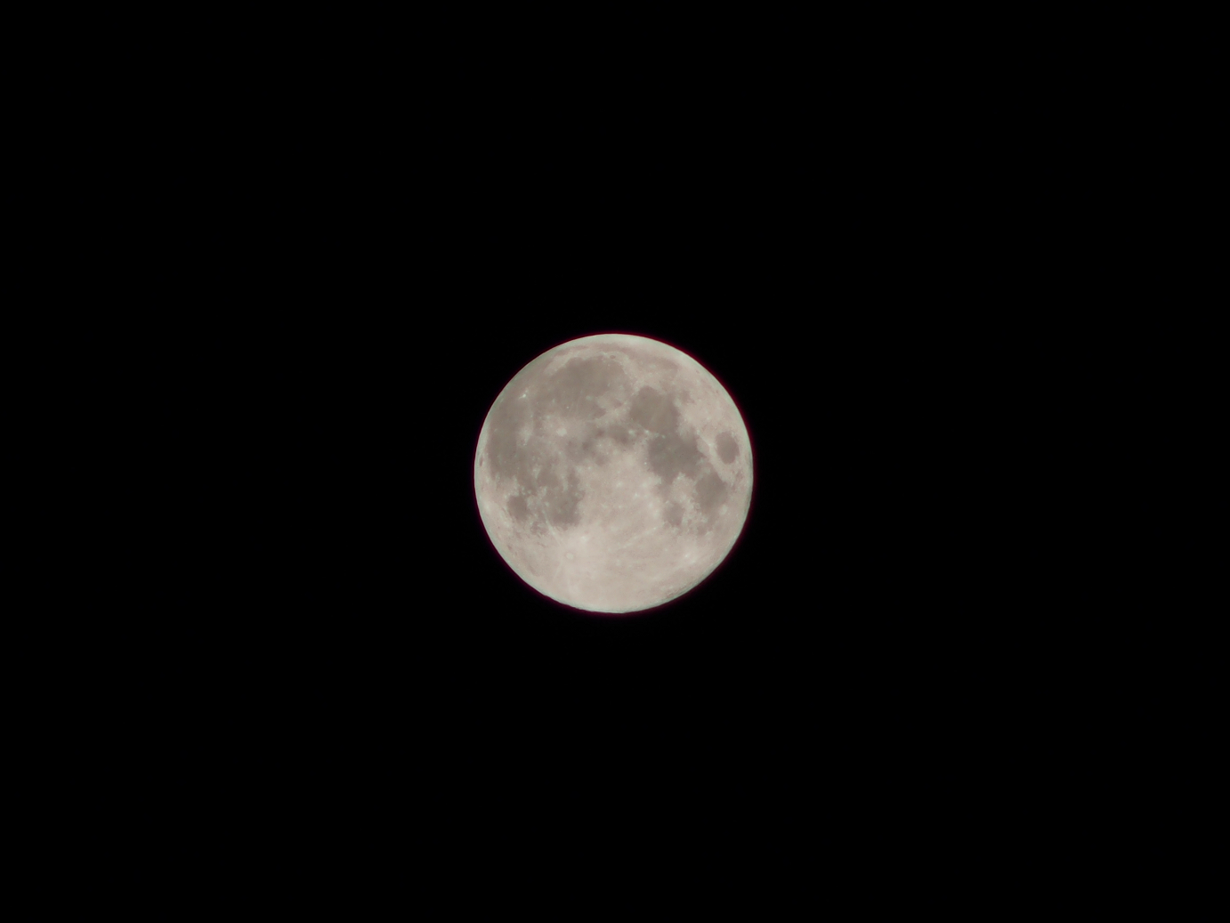 P9190546.jpg