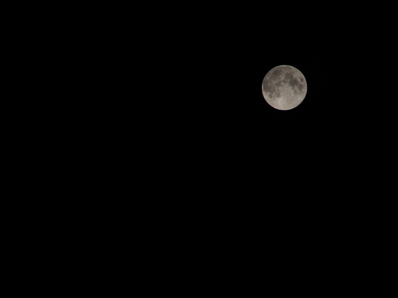 P9190579.jpg
