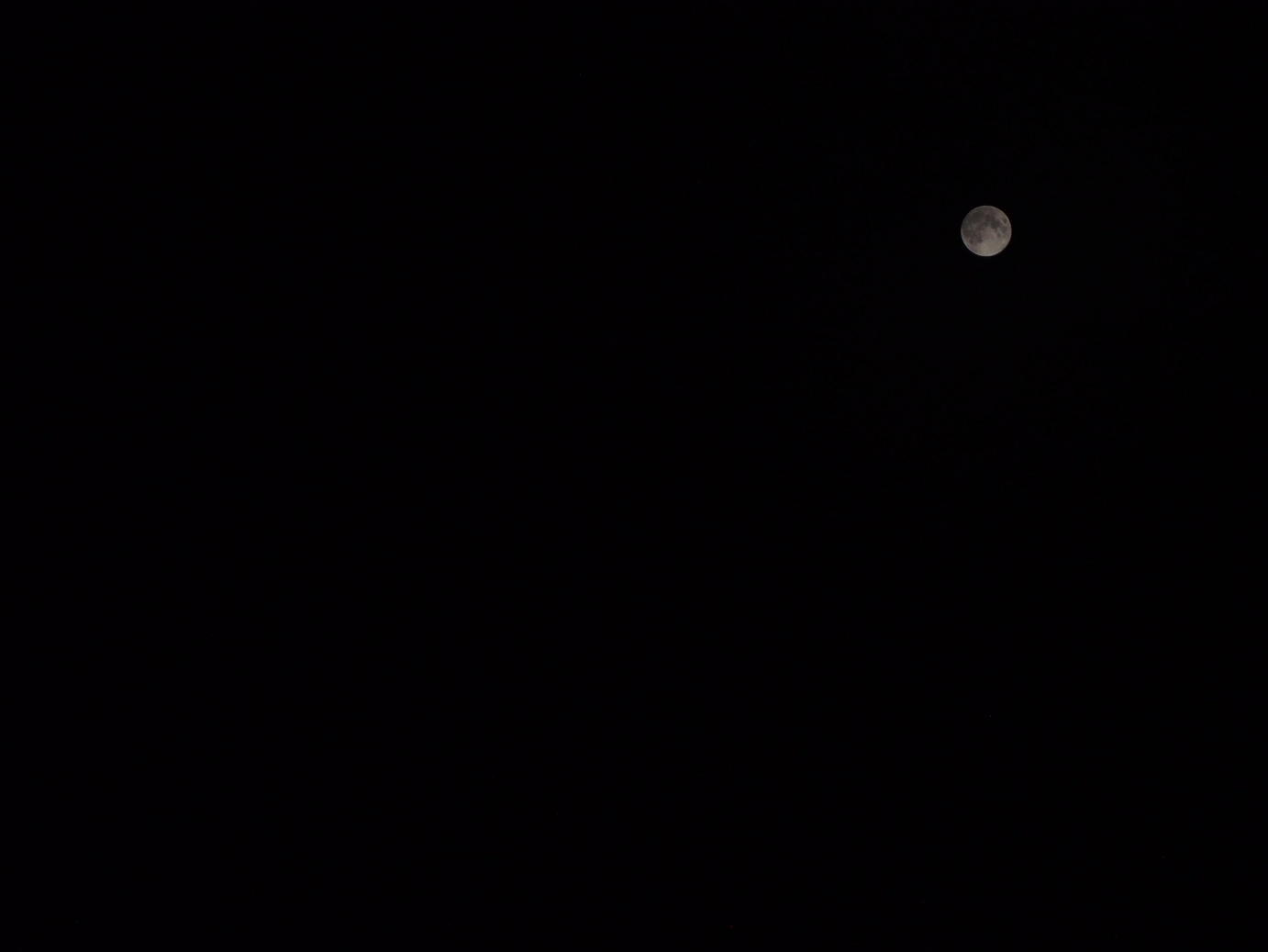 P9190592.jpg