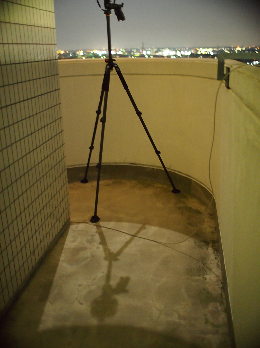 P9195917.jpg