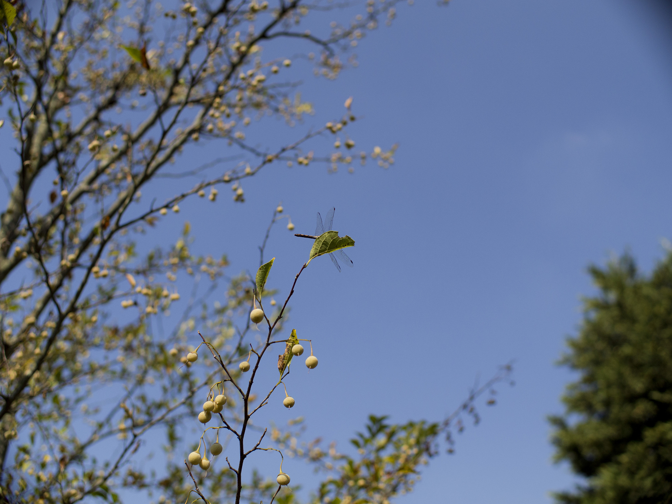 P91210081.jpg