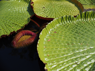 P91210150_thumb.png