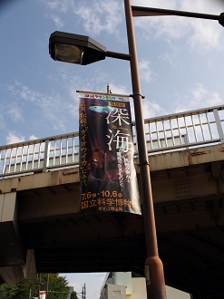 P9230898_thumb.png