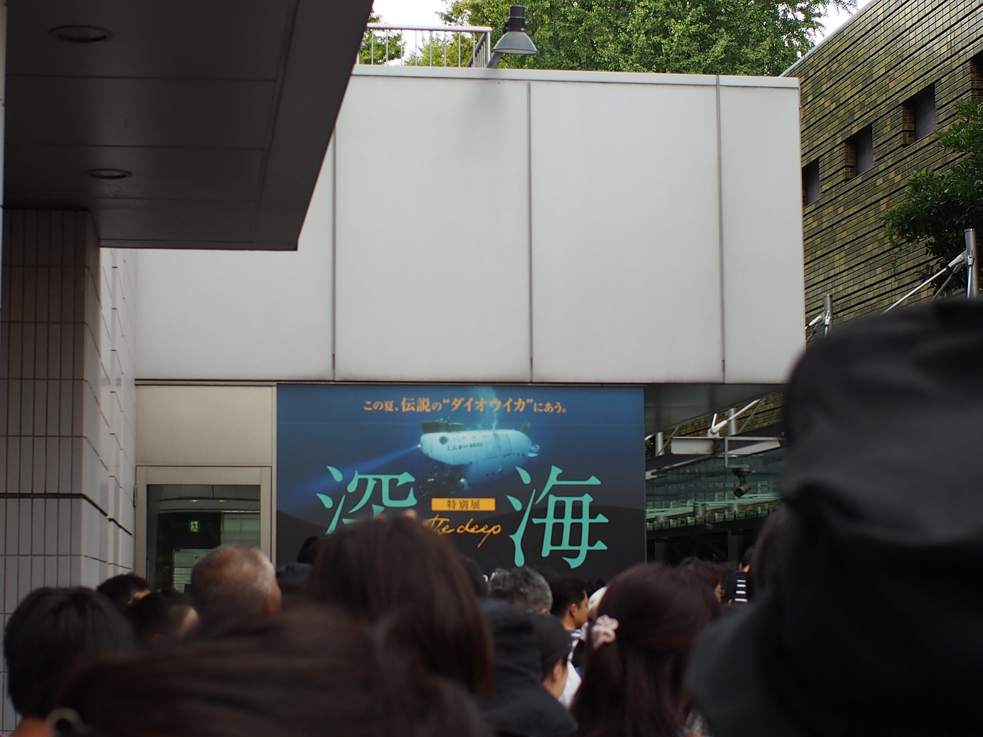 P9230904.jpg