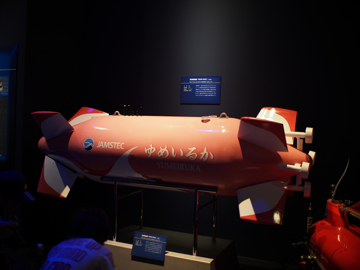 P9230953.jpg