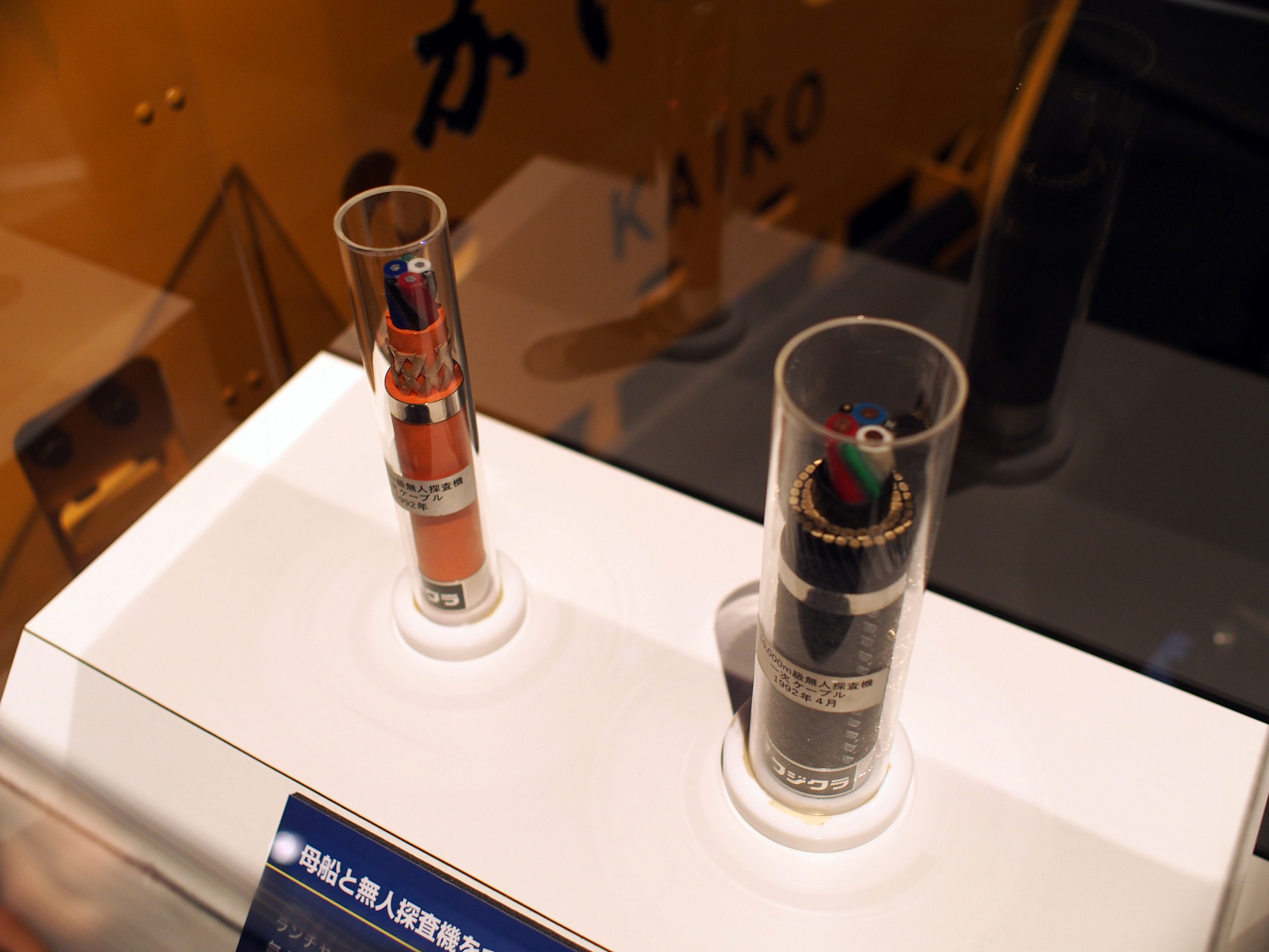 P9230968.jpg
