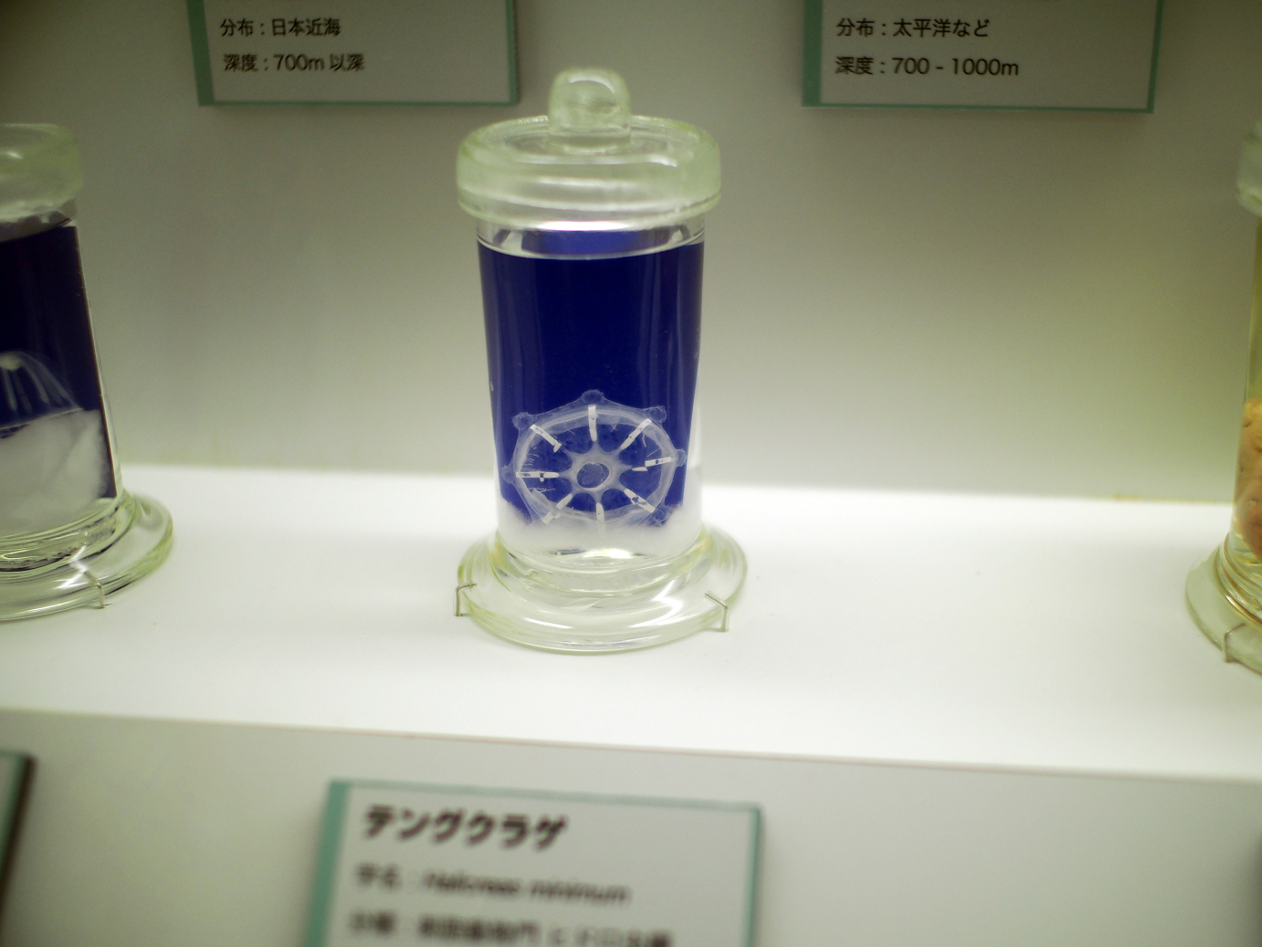 P9230973.jpg