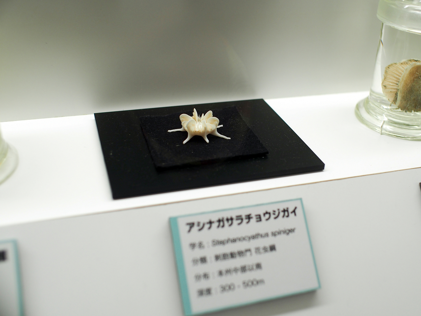 P9230974.jpg