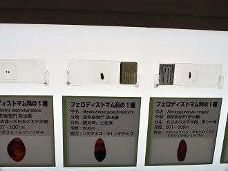 P9230982_thumb.png