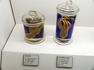 P9231005_thumb.png