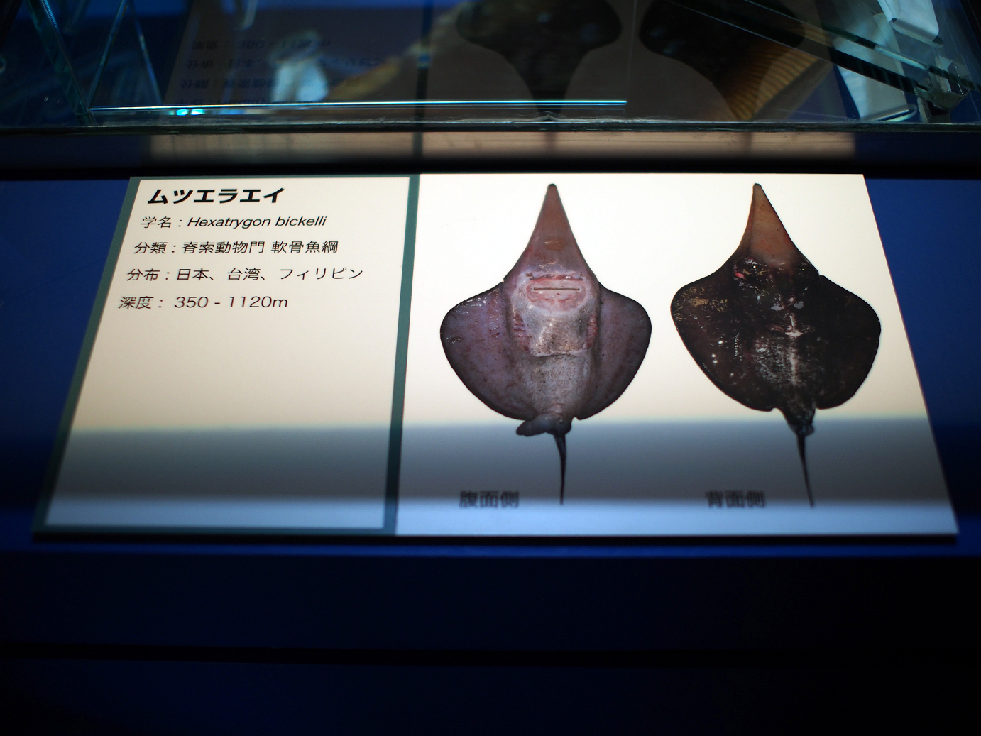 P9231060.jpg