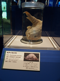 P9231076_thumb.png