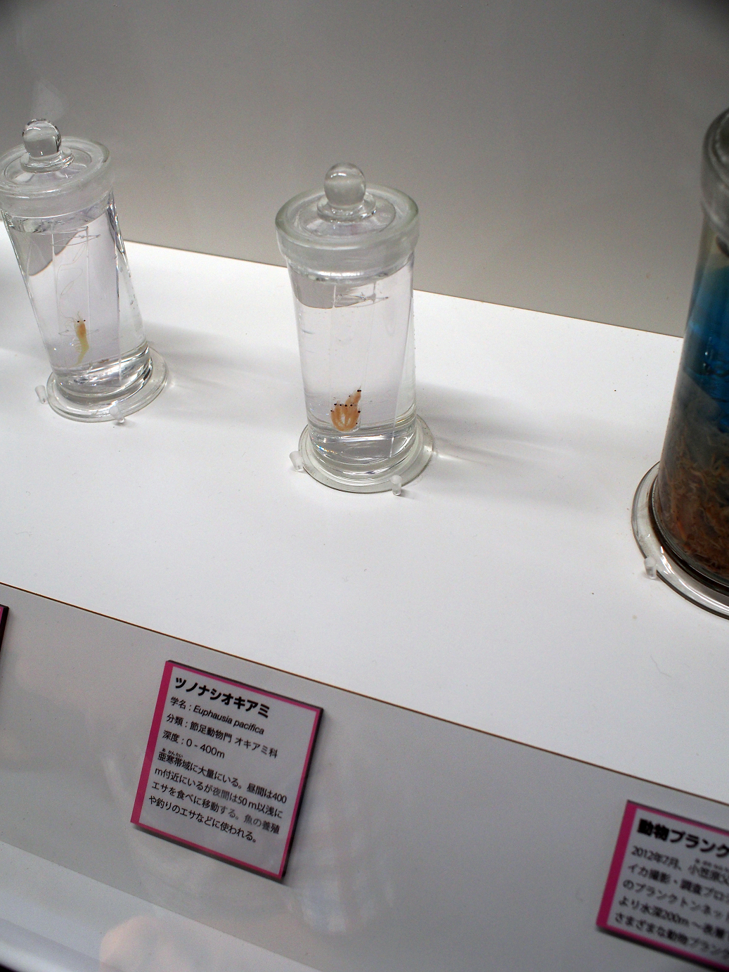 P9231094.jpg