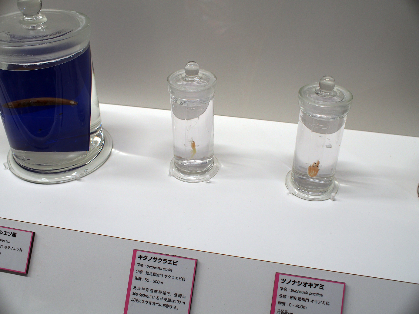 P9231095.jpg