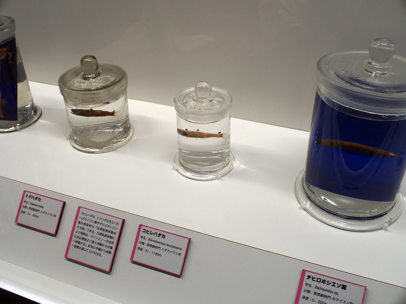 P9231096.jpg