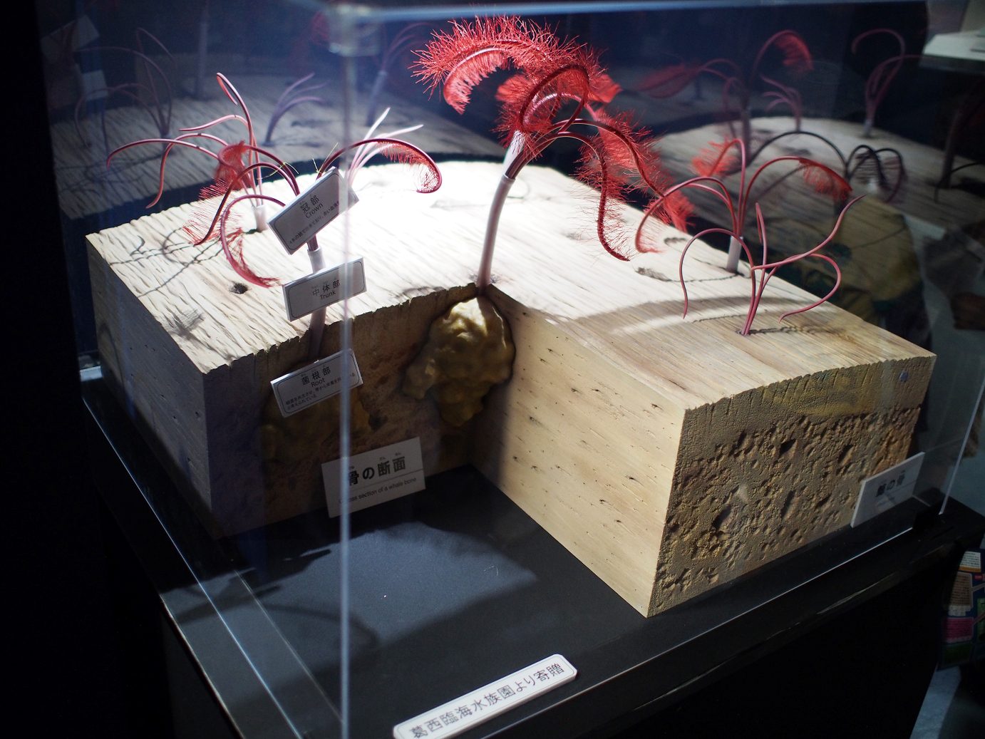 P9231114.jpg