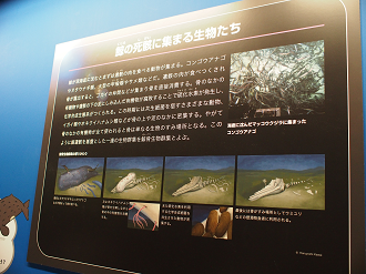P9231118_thumb.png