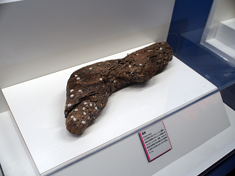 P9231119_thumb.png