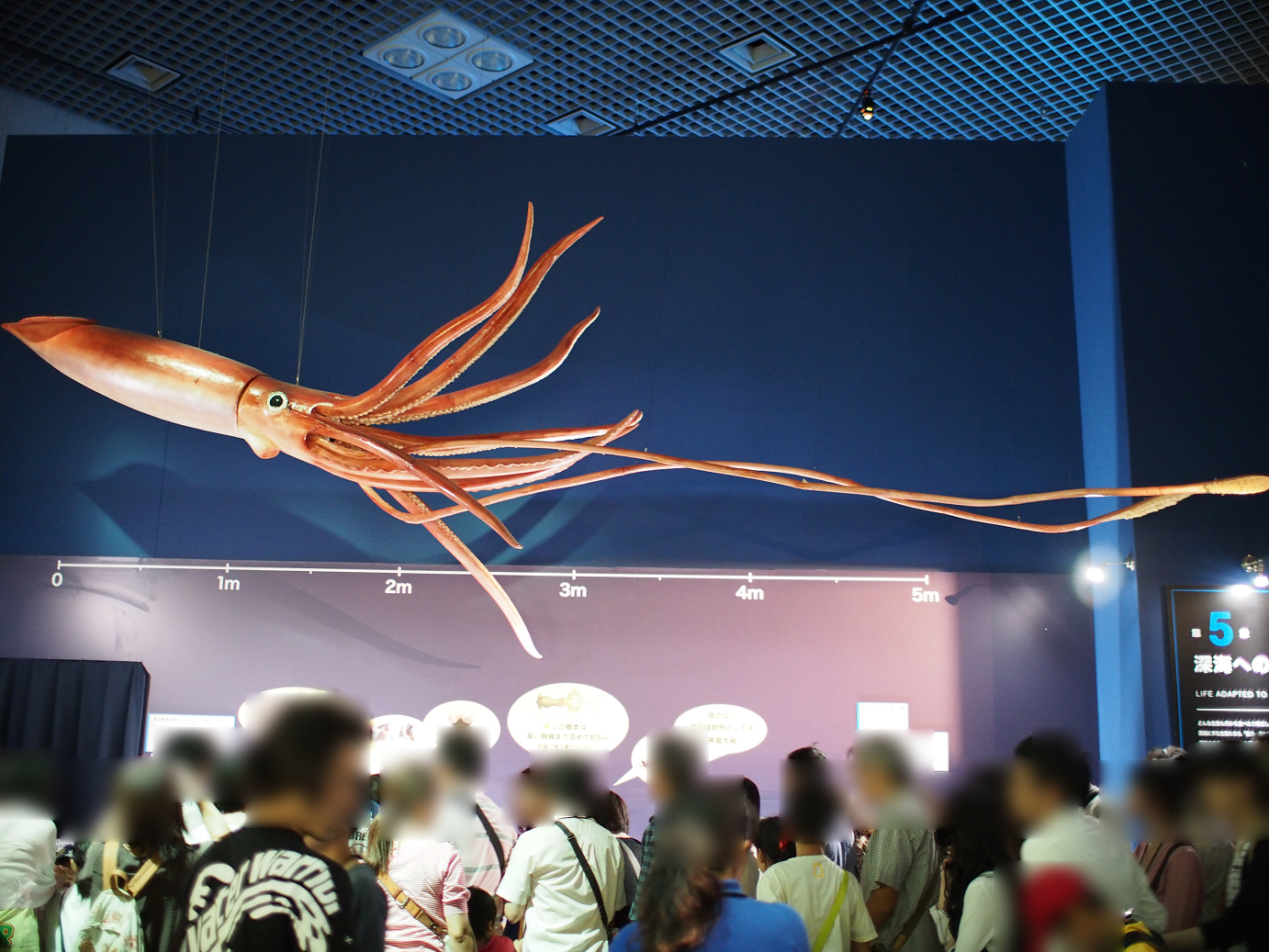 P9231140.jpg