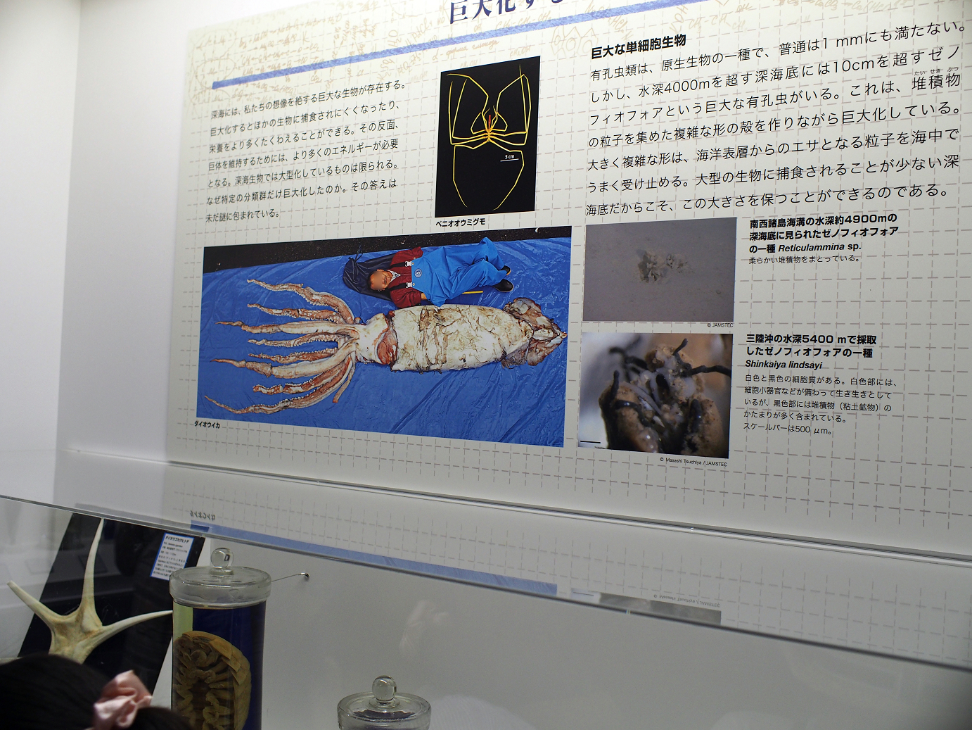 P9231145.jpg