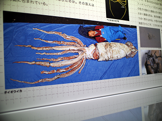 P9231150_thumb.png