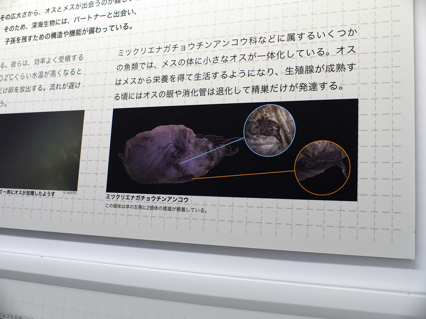 P9231155.jpg