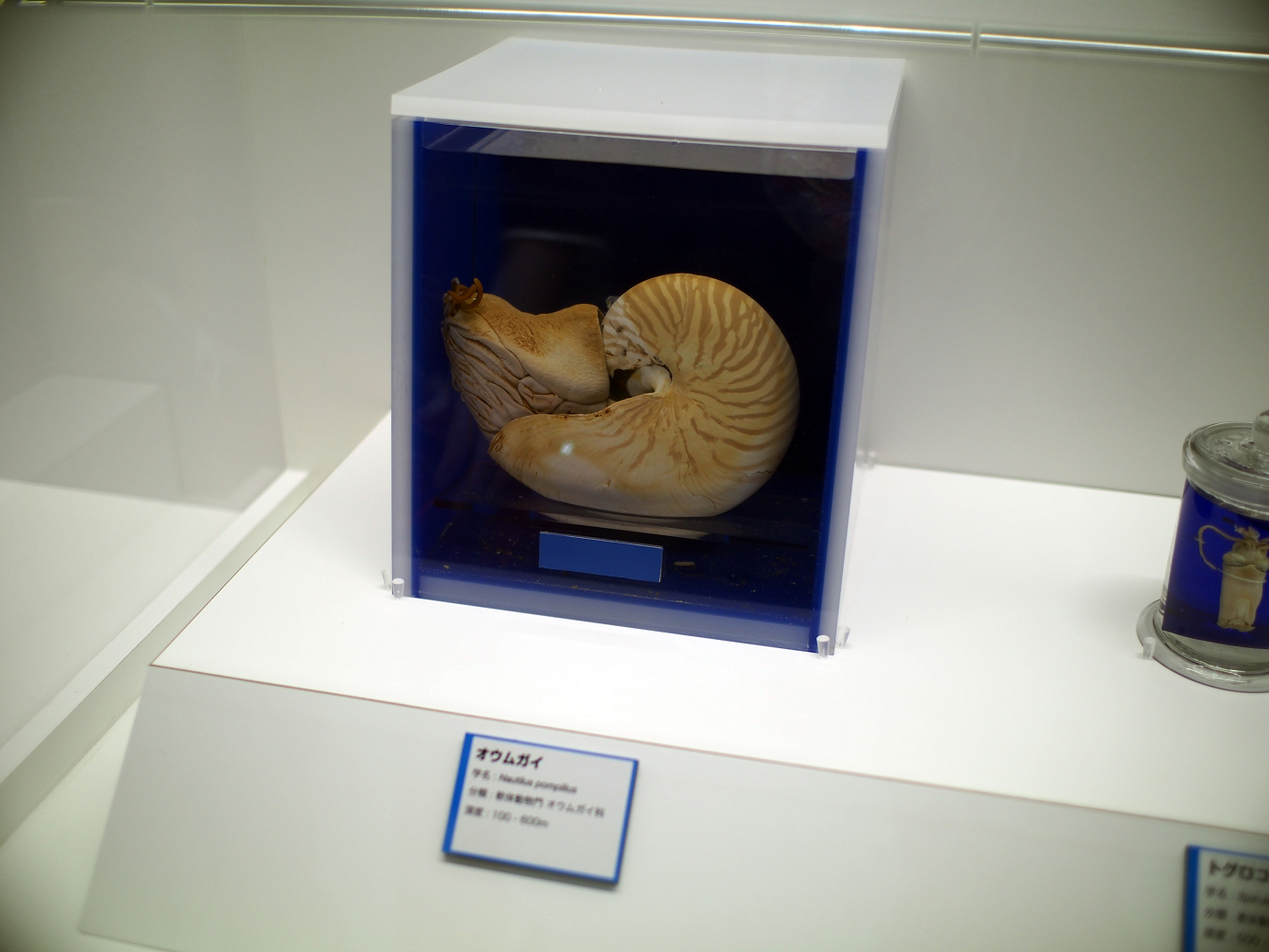 P9231157.jpg