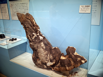 P9231186_thumb.png