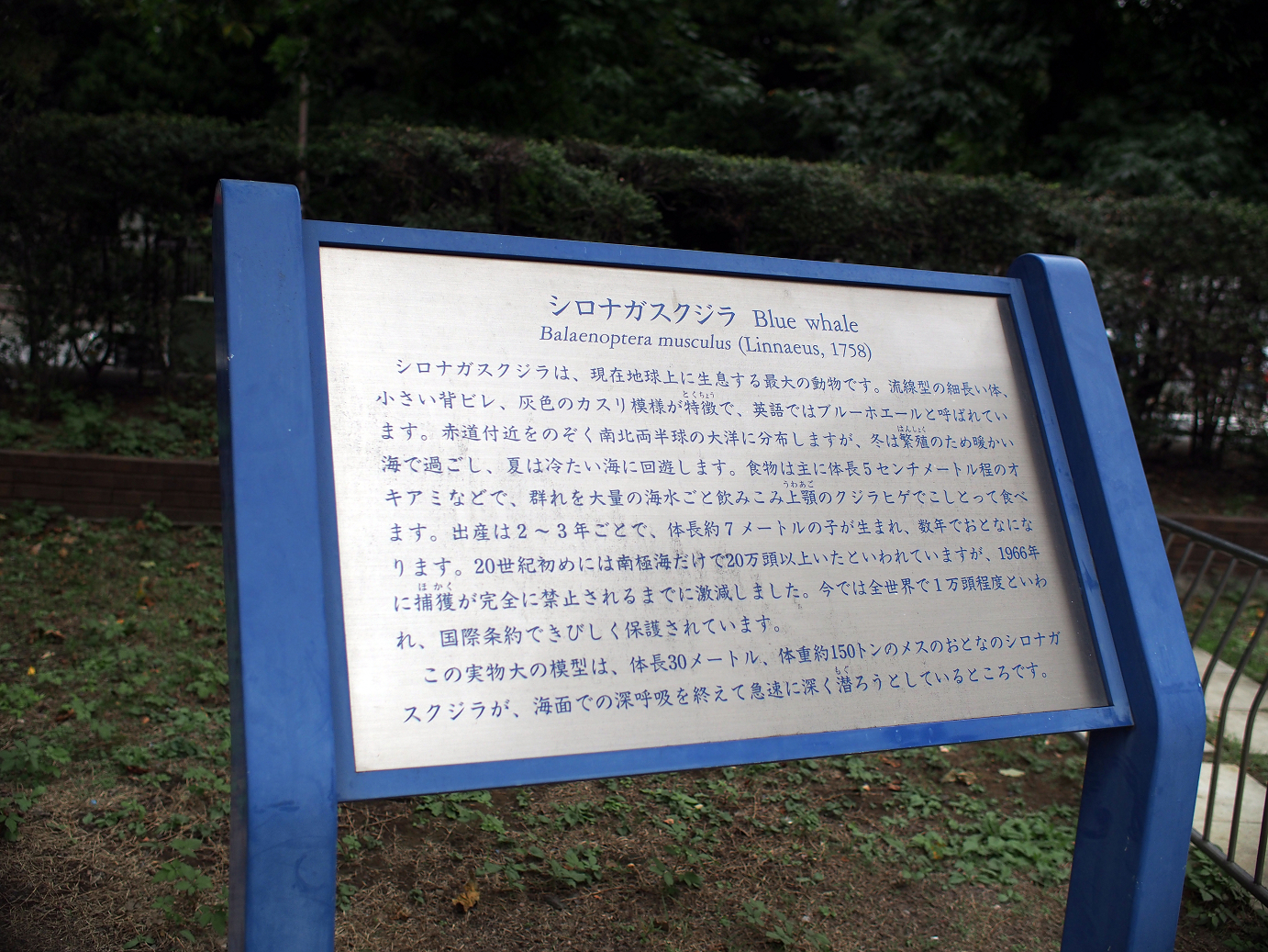 P9231202.jpg