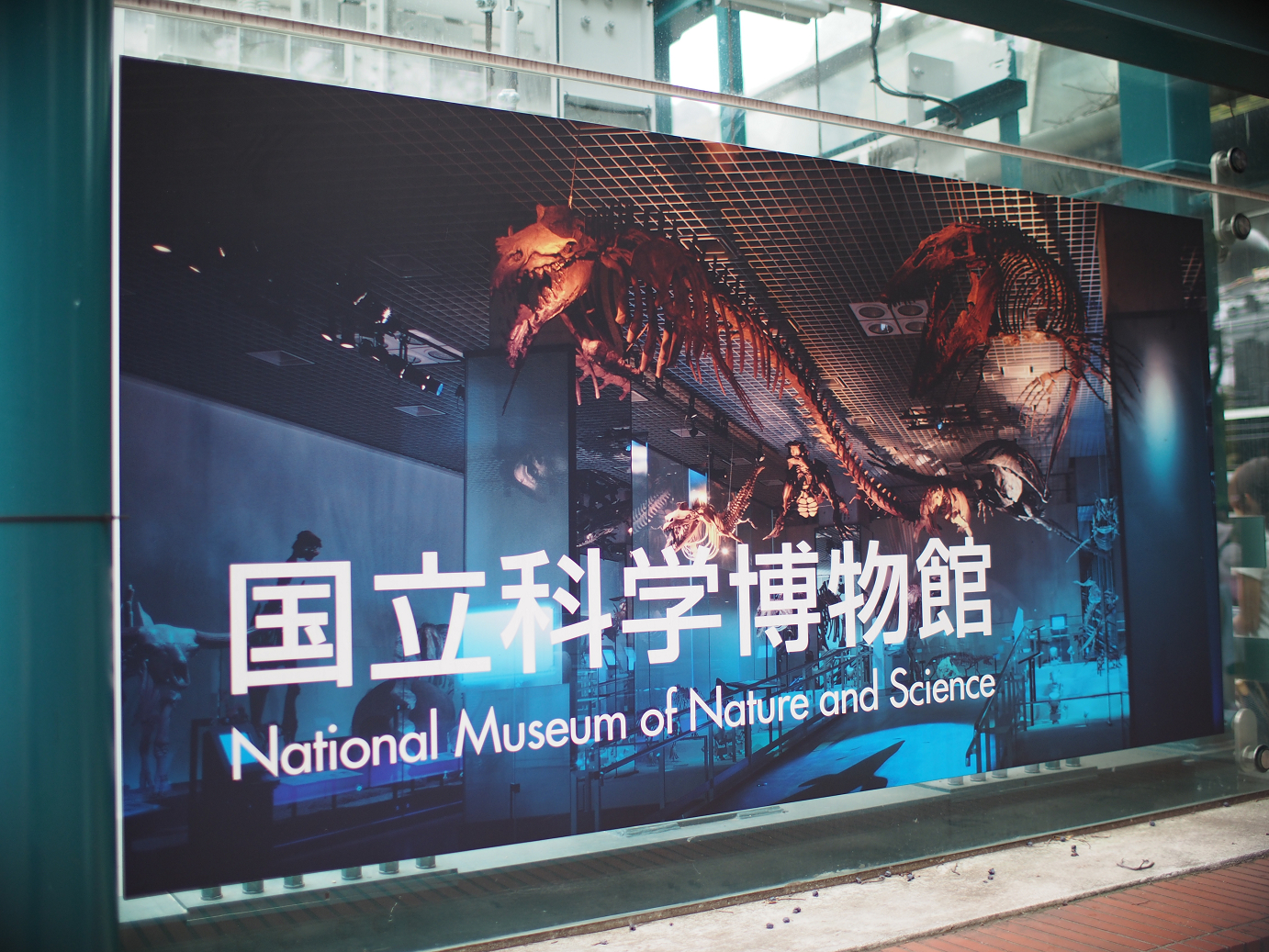 P9231210.jpg
