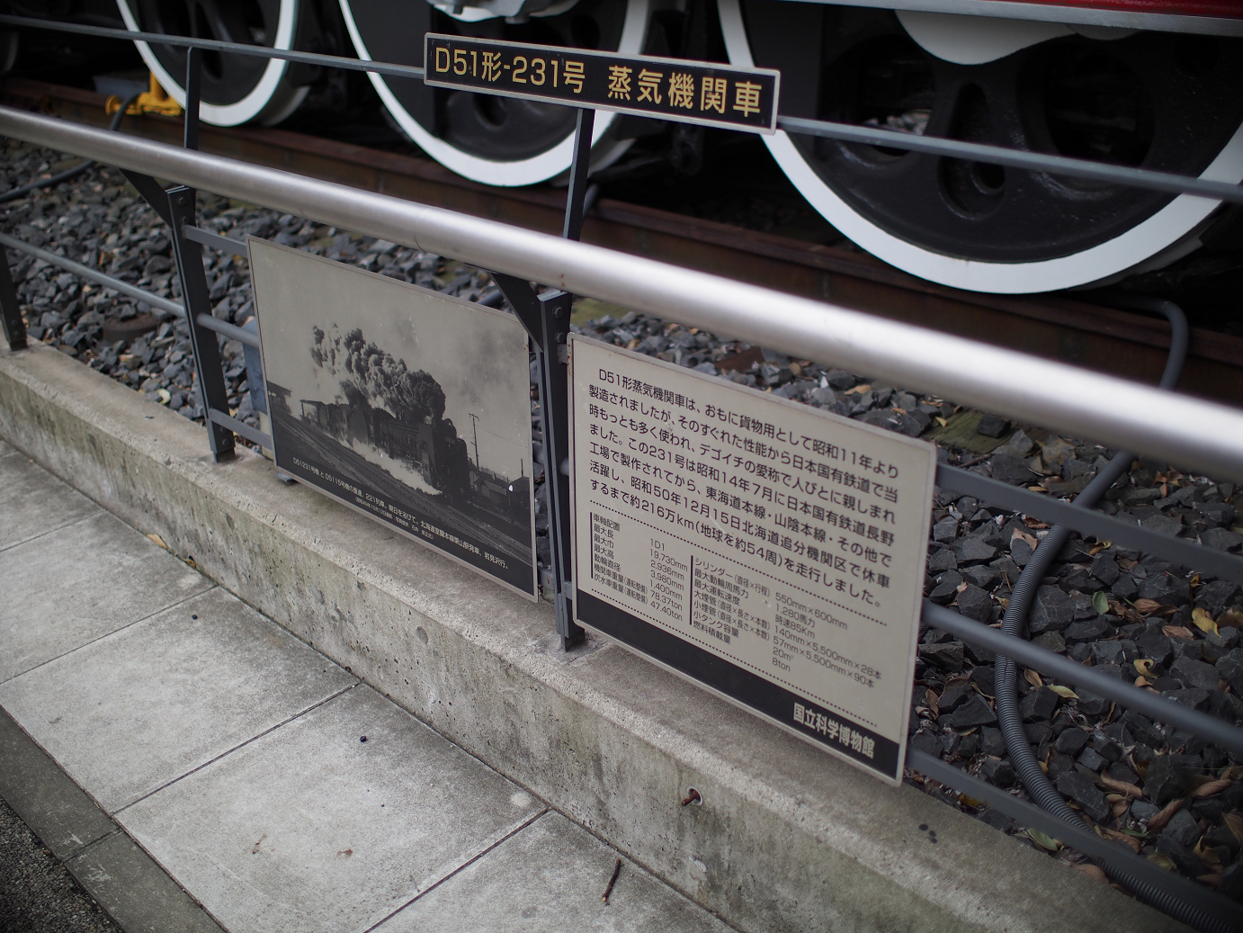 P9231214.jpg